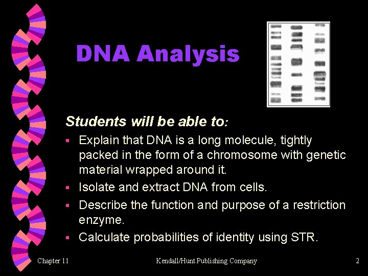 DNA Analysis Students will be able to: Explain that DNA is a long molecule,