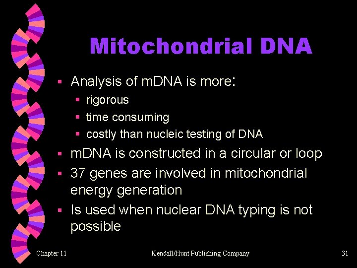 Mitochondrial DNA § Analysis of m. DNA is more: § rigorous § time consuming