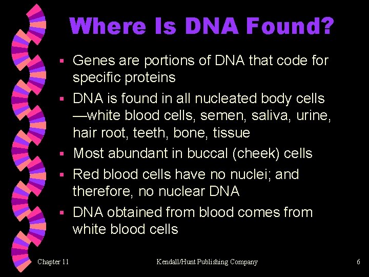 Where Is DNA Found? § § § Chapter 11 Genes are portions of DNA