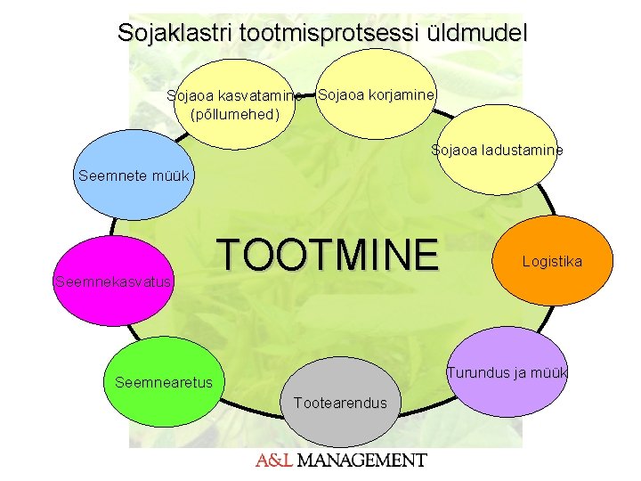 Sojaklastri tootmisprotsessi üldmudel Sojaoa kasvatamine Sojaoa korjamine (põllumehed) Sojaoa ladustamine Seemnete müük Seemnekasvatus TOOTMINE