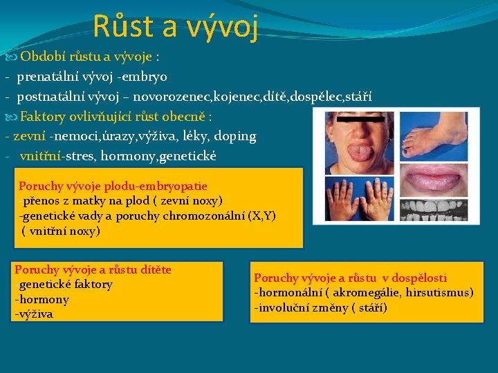 Růst a vývoj Období růstu a vývoje : - prenatální vývoj -embryo - postnatální