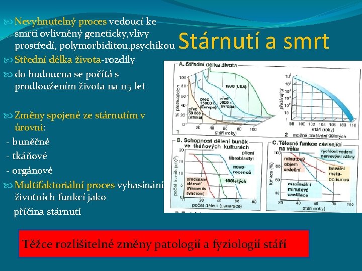  Nevyhnutelný proces vedoucí ke smrti ovlivněný geneticky, vlivy prostředí, polymorbiditou, psychikou Střední délka