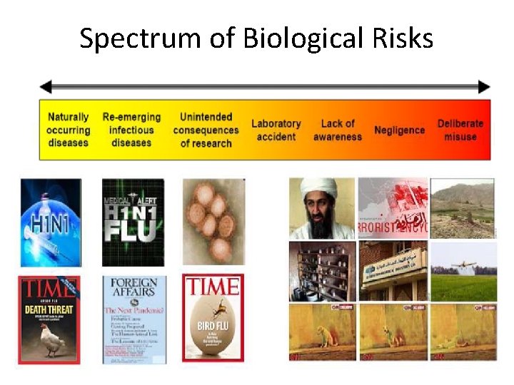 Spectrum of Biological Risks 