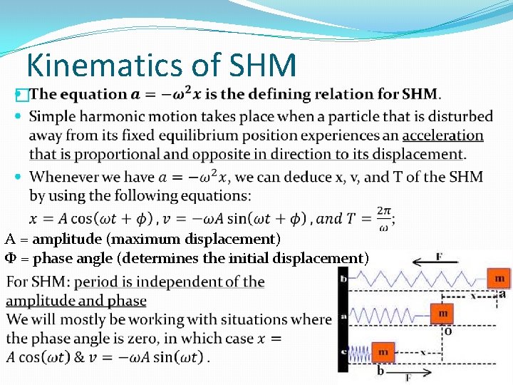 Kinematics of SHM � A = amplitude (maximum displacement) Φ = phase angle (determines