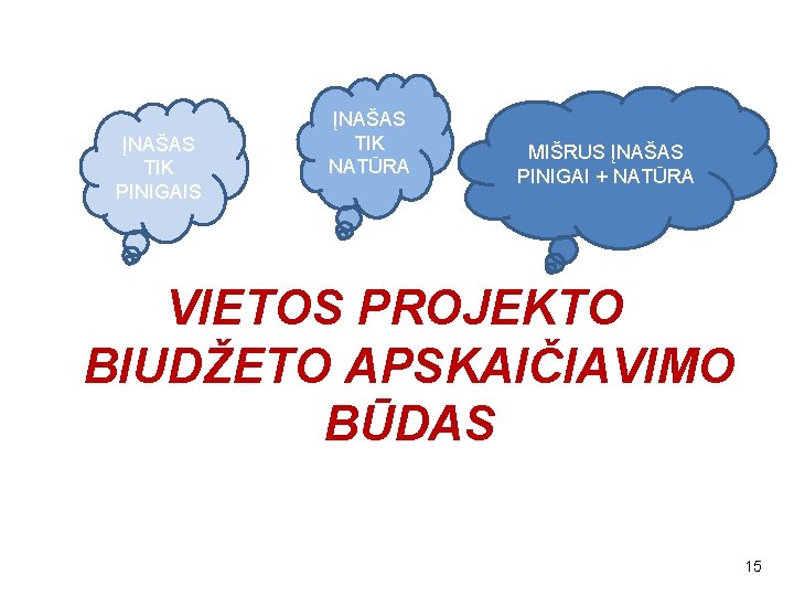 ĮNAŠAS TIK PINIGAIS ĮNAŠAS TIK NATŪRA MIŠRUS ĮNAŠAS PINIGAI + NATŪRA VIETOS PROJEKTO BIUDŽETO