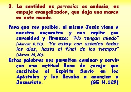 3. La santidad es parresía: es audacia, es empuje evangelizador, que deja una marca