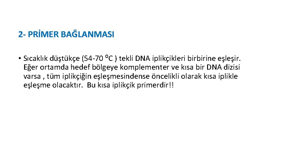 2 - PRİMER BAĞLANMASI • Sıcaklık düştükçe (54 -70 ⁰C ) tekli DNA iplikçikleri