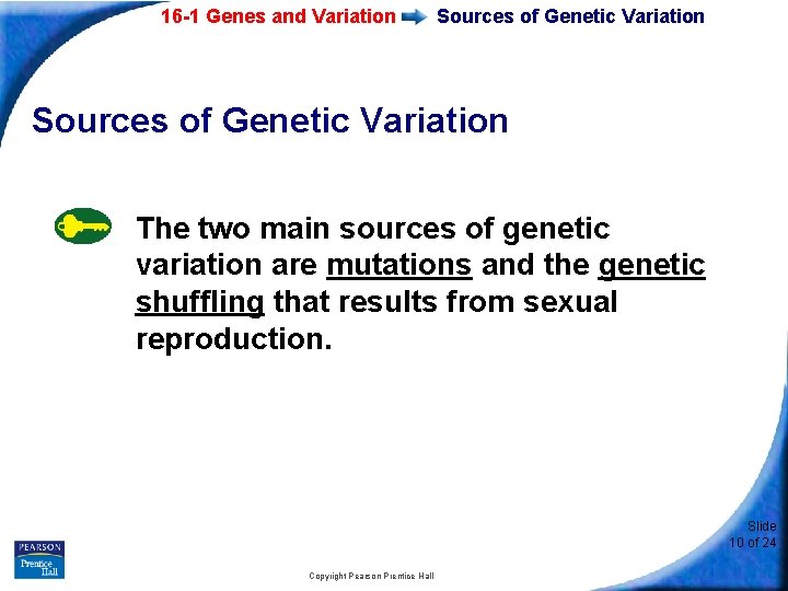 16 -1 Genes and Variation Sources of Genetic Variation The two main sources of