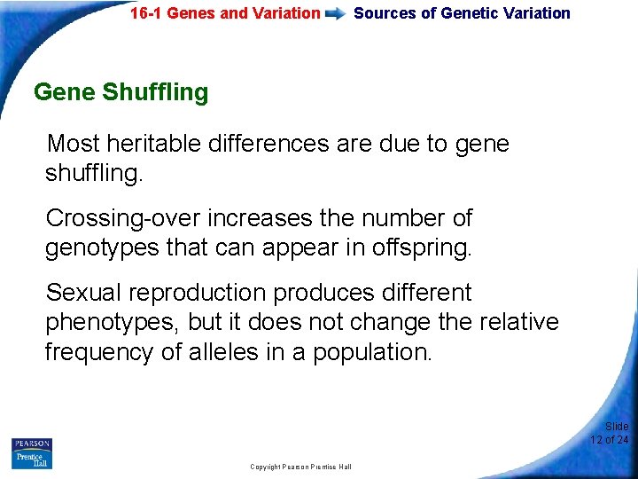 16 -1 Genes and Variation Sources of Genetic Variation Gene Shuffling Most heritable differences