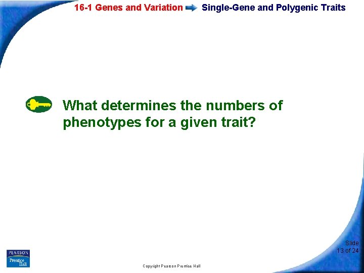 16 -1 Genes and Variation Single-Gene and Polygenic Traits What determines the numbers of