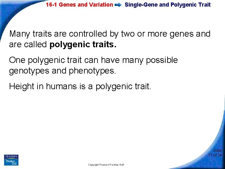 16 -1 Genes and Variation Single-Gene and Polygenic Trait Many traits are controlled by