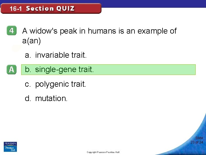 16 -1 A widow's peak in humans is an example of a(an) a. invariable