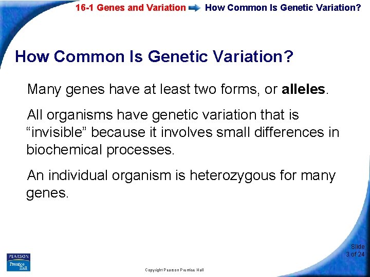 16 -1 Genes and Variation How Common Is Genetic Variation? Many genes have at