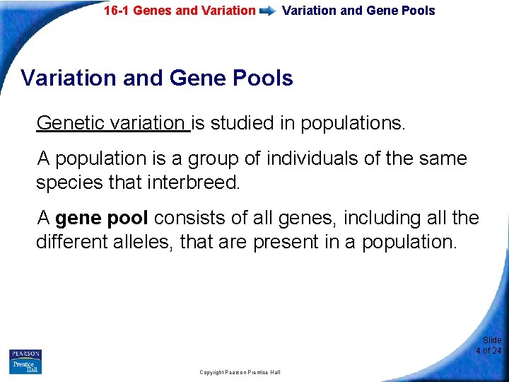 16 -1 Genes and Variation and Gene Pools Genetic variation is studied in populations.