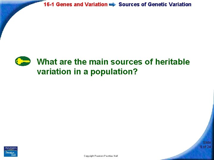 16 -1 Genes and Variation Sources of Genetic Variation What are the main sources