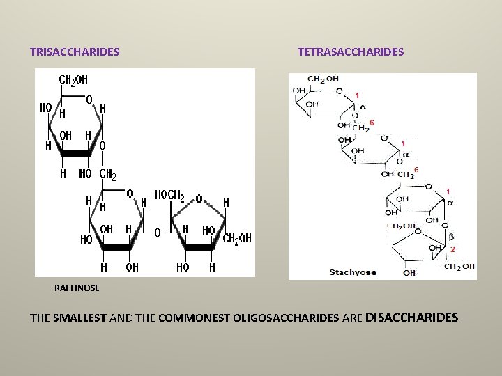 TRISACCHARIDES TETRASACCHARIDES RAFFINOSE THE SMALLEST AND THE COMMONEST OLIGOSACCHARIDES ARE DISACCHARIDES 
