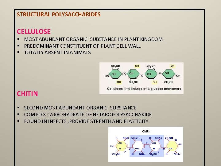 STRUCTURAL POLYSACCHARIDES CELLULOSE § MOST ABUNDANT ORGANIC SUBSTANCE IN PLANT KINGDOM § PREDOMINANT CONSTITUENT