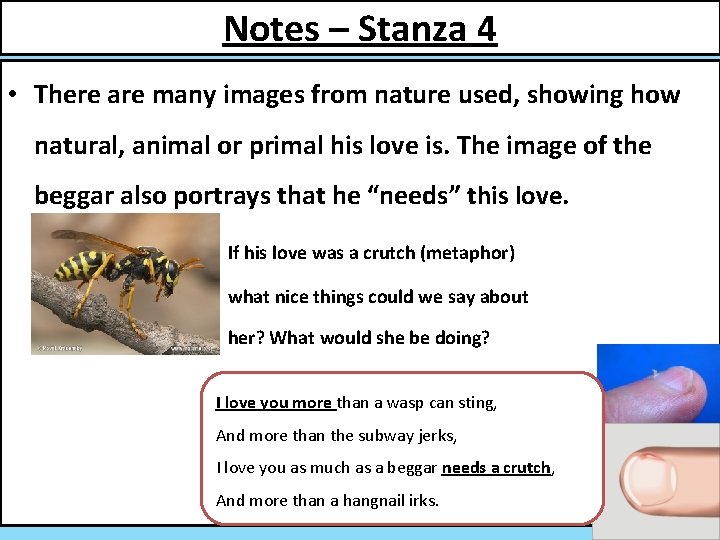 Notes – Stanza 4 • There are many images from nature used, showing how