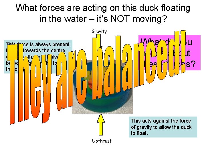 What forces are acting on this duck floating in the water – it’s NOT