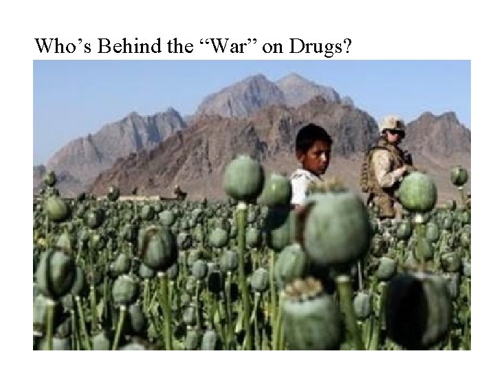 Who’s Behind the “War” on Drugs? 