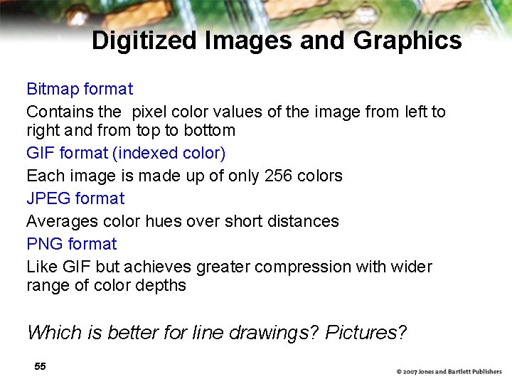 Digitized Images and Graphics Bitmap format Contains the pixel color values of the image