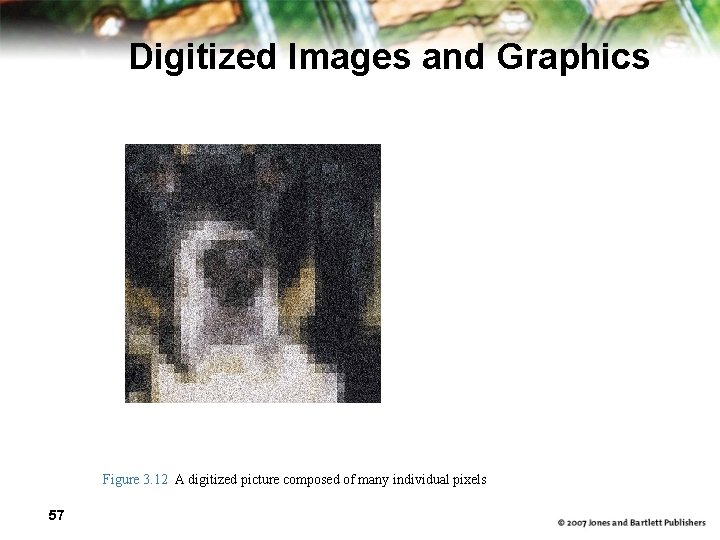 Digitized Images and Graphics Figure 3. 12 A digitized picture composed of many individual