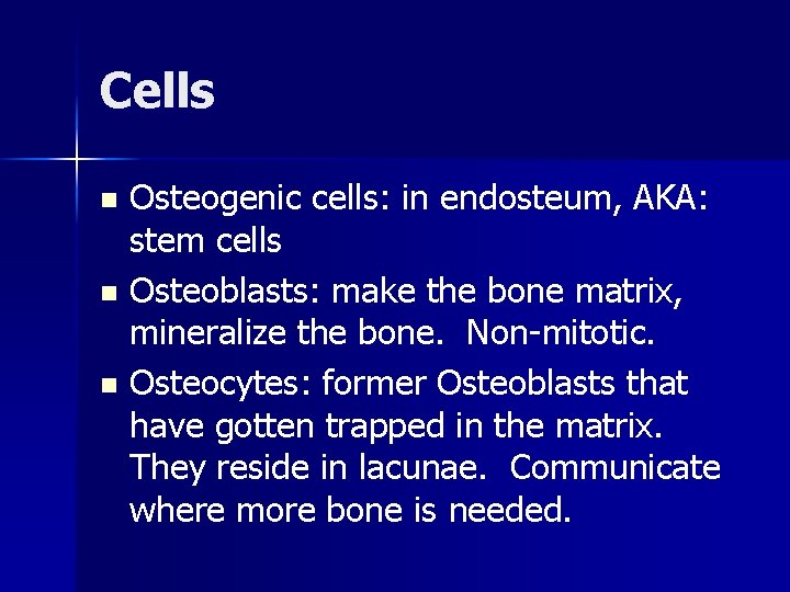 Cells Osteogenic cells: in endosteum, AKA: stem cells n Osteoblasts: make the bone matrix,