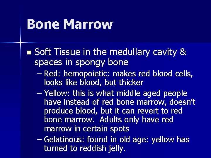 Bone Marrow n Soft Tissue in the medullary cavity & spaces in spongy bone