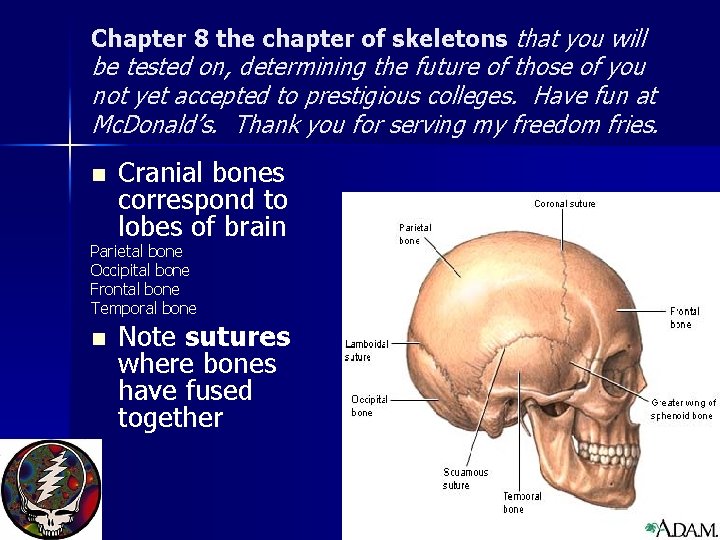 Chapter 8 the chapter of skeletons that you will be tested on, determining the