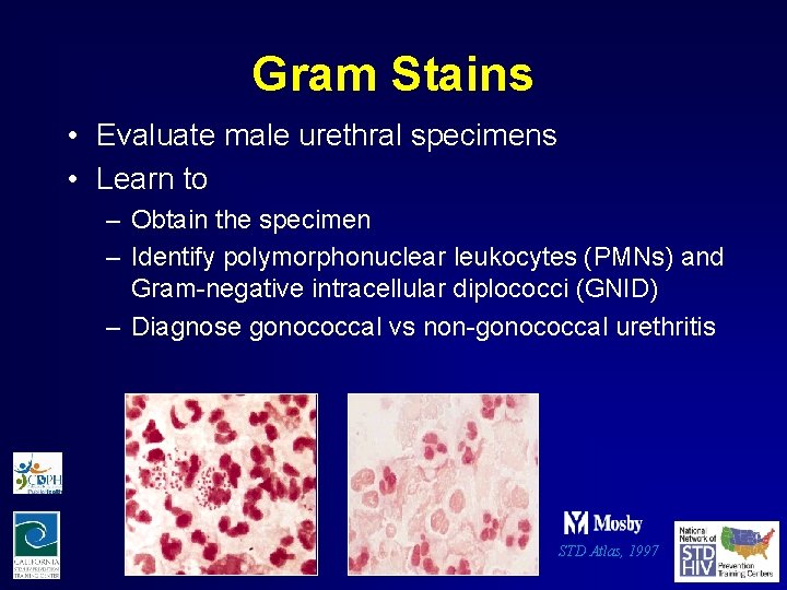 Gram Stains • Evaluate male urethral specimens • Learn to – Obtain the specimen