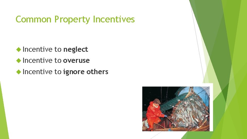Common Property Incentives Incentive to neglect Incentive to overuse Incentive to ignore others 