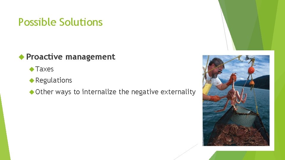 Possible Solutions Proactive management Taxes Regulations Other ways to internalize the negative externality 