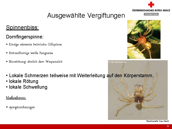 Ausgewählte Vergiftungen Spinnenbiss: Dornfingerspinne: • Einzige relevante heimische Giftspinne • Röhrenförmige weiße Fangnetze •