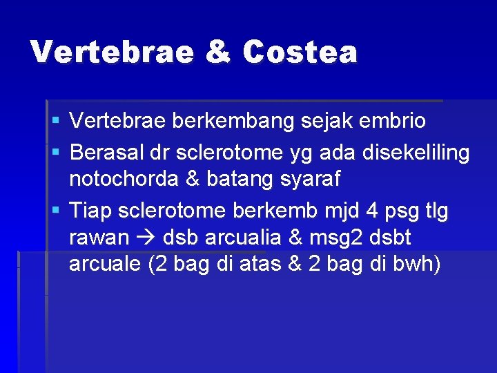 Vertebrae & Costea § Vertebrae berkembang sejak embrio § Berasal dr sclerotome yg ada