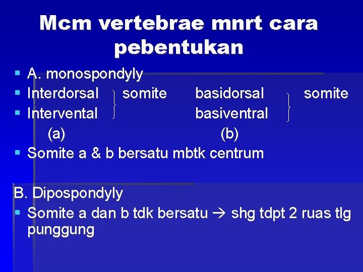 Mcm vertebrae mnrt cara pebentukan § § § A. monospondyly Interdorsal somite basidorsal Intervental