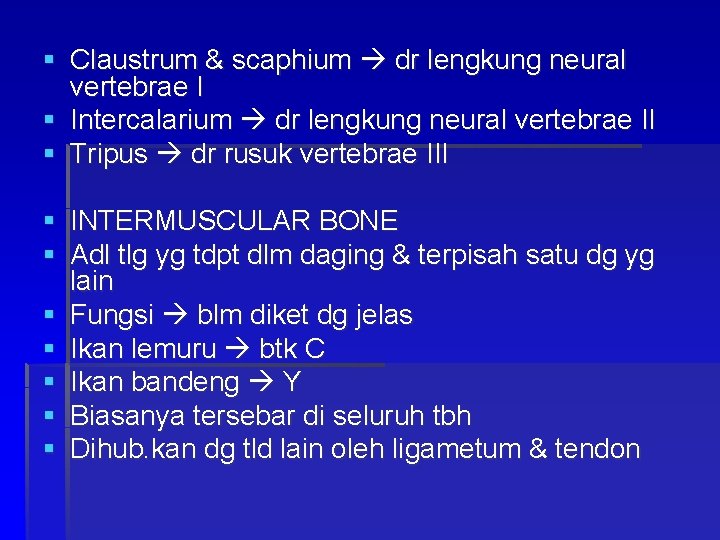 § Claustrum & scaphium dr lengkung neural vertebrae I § Intercalarium dr lengkung neural