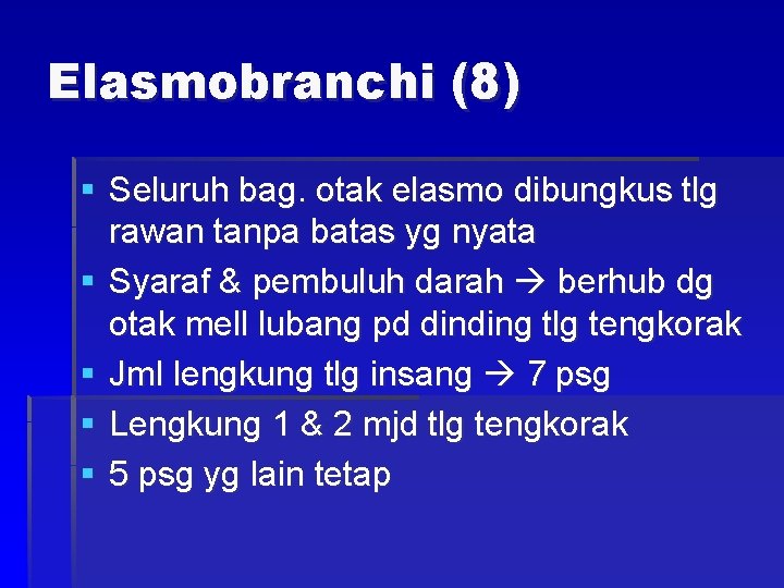 Elasmobranchi (8) § Seluruh bag. otak elasmo dibungkus tlg rawan tanpa batas yg nyata