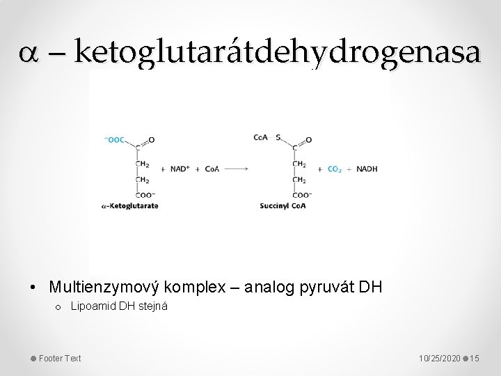  – ketoglutarátdehydrogenasa • Multienzymový komplex – analog pyruvát DH o Lipoamid DH stejná