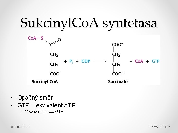 Sukcinyl. Co. A syntetasa • Opačný směr • GTP – ekvivalent ATP o Speciální