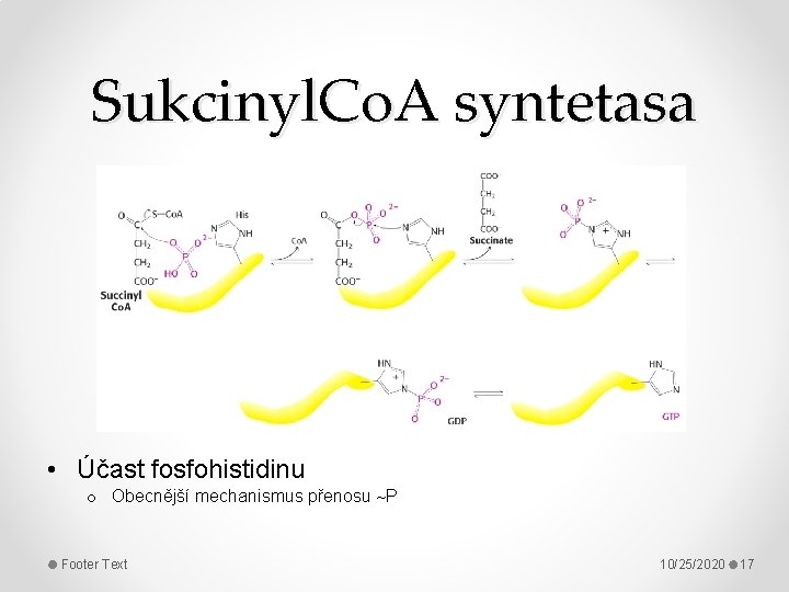 Sukcinyl. Co. A syntetasa • Účast fosfohistidinu o Obecnější mechanismus přenosu P Footer Text