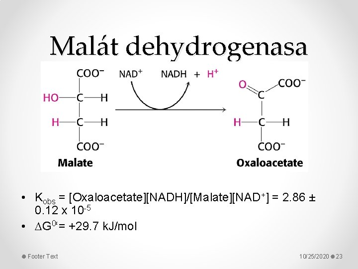 Malát dehydrogenasa • Kobs = [Oxaloacetate][NADH]/[Malate][NAD+] = 2. 86 ± 0. 12 x 10