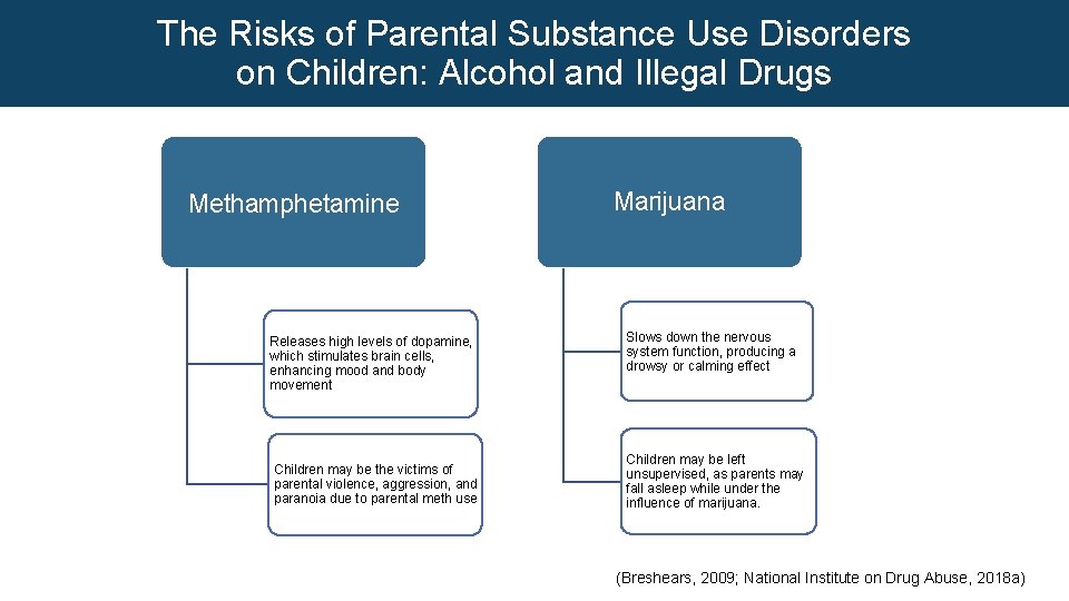 The Risks of Parental Substance Use Disorders on Children: Alcohol and Illegal Drugs Methamphetamine