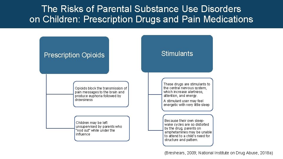 The Risks of Parental Substance Use Disorders on Children: Prescription Drugs and Pain Medications