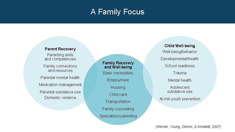 A Family Focus Child Well-being Parent Recovery Parenting skills and competencies Family connections and