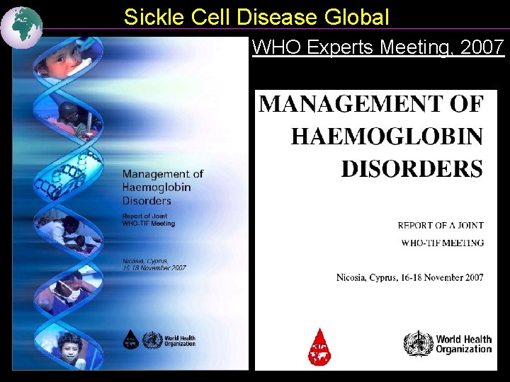 Sickle Cell Disease Global WHO Experts Meeting, 2007 