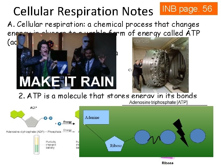 Cellular Respiration Notes INB page. 56 A. Cellular respiration: a chemical process that changes