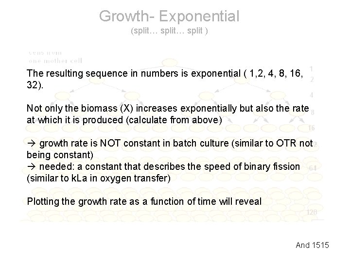 Growth- Exponential (split… split ) The resulting sequence in numbers is exponential ( 1,