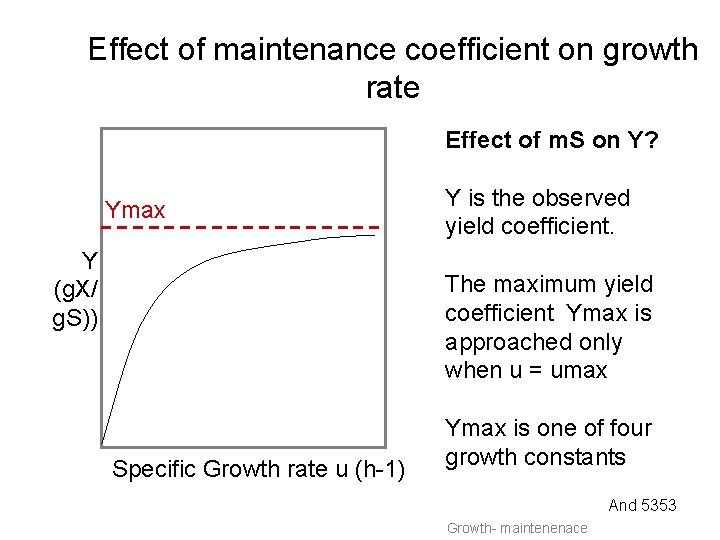 Effect of maintenance coefficient on growth rate Effect of m. S on Y? Ymax