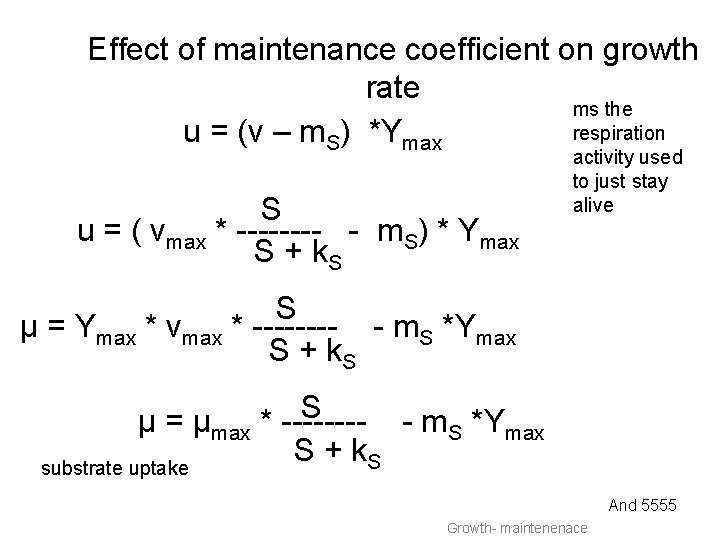 Effect of maintenance coefficient on growth rate ms the respiration u = (v –