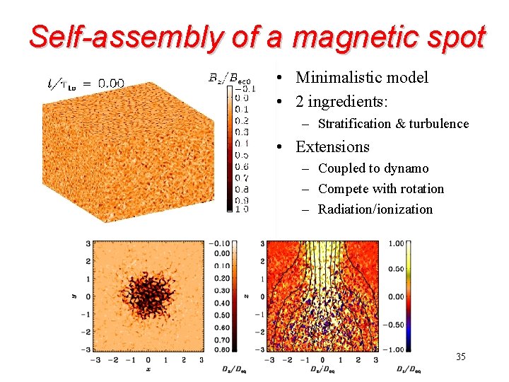 Self-assembly of a magnetic spot • Minimalistic model • 2 ingredients: – Stratification &